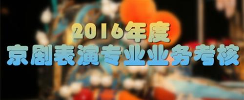 www.污污黄片国家京剧院2016年度京剧表演专业业务考...